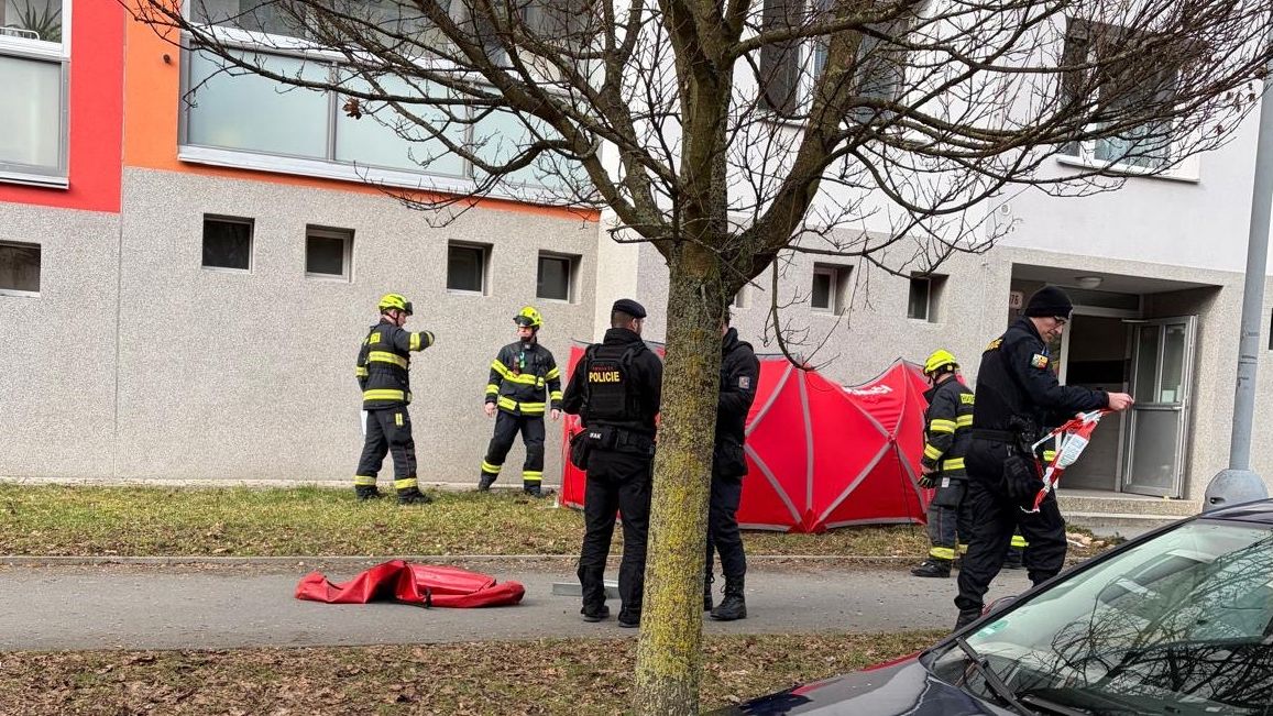 Drama v plzeňském bytě. Agresor před policisty vyskočil ze 7. patra
